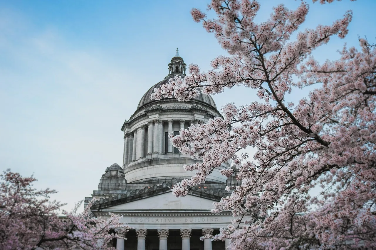 capitol, building, washington, state, capitol, capitol, capitol, capitol, capitol. Business Entity Search by State: Washington Fields
