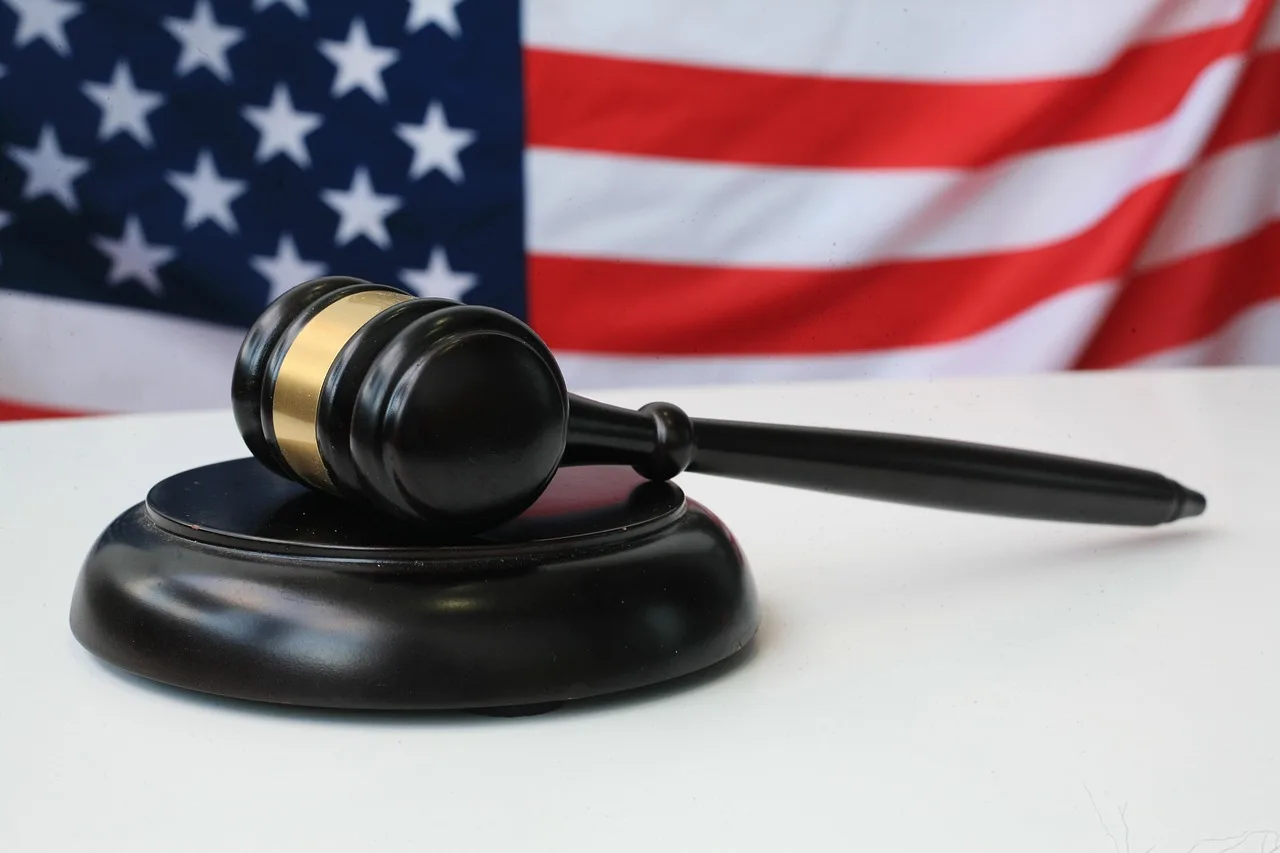 gavel, usa, flag, justice, judge, courtroom, lawsuit, law, lawyer, regulation, statute, themis, gavel, courtroom, courtroom, lawsuit, lawsuit, lawsuit, lawsuit, lawsuit. A ten-step checklist for company verification, legal name first