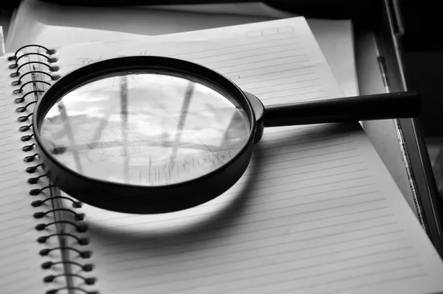 magnifying glass, journal, detail, job, the audit, magnifying glass, magnifying glass, magnifying glass, magnifying glass, magnifying glass. Company verification data reads best as one dated row per finding