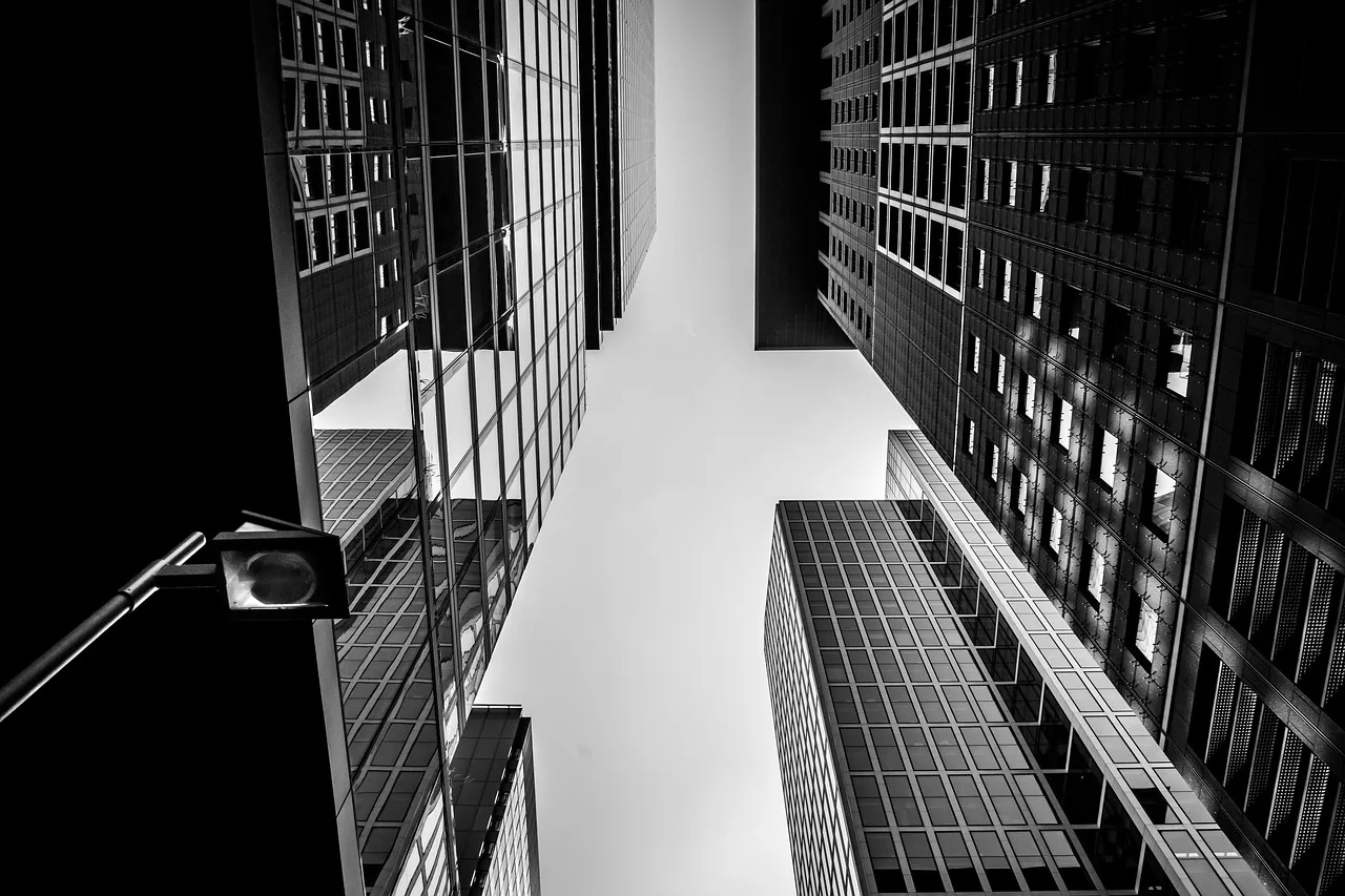 city, skyscrapers, frankfurt, germany, frankfurt am main, buildings, cityscape, urban, skyline, banks, architecture, modern, center, europe, monochrome, city, city, city, city, city, frankfurt, banks, architecture. Company verification facts: what registries can show