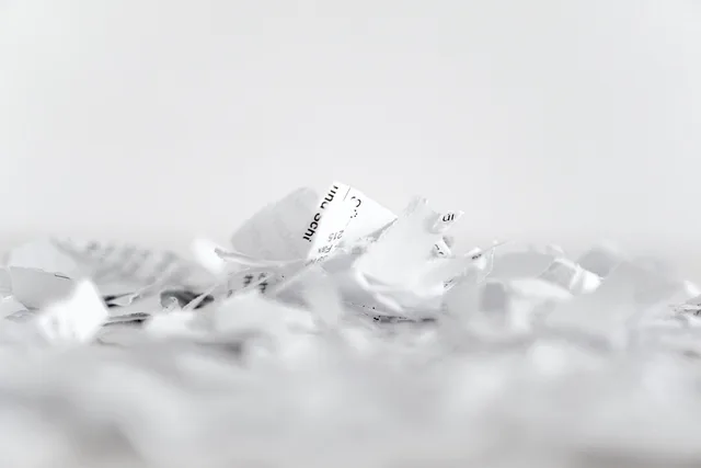 paper, shredder, flakes, recycling, cut, shredded paper, shredding, paper strip, shredded, disposal, document shredder, privacy policy, waste paper, crushed, paper industry, garbage, paper, paper, paper, paper, paper, privacy policy, privacy policy. Why do stripped zeros and missing prefixes break an entity number lookup?