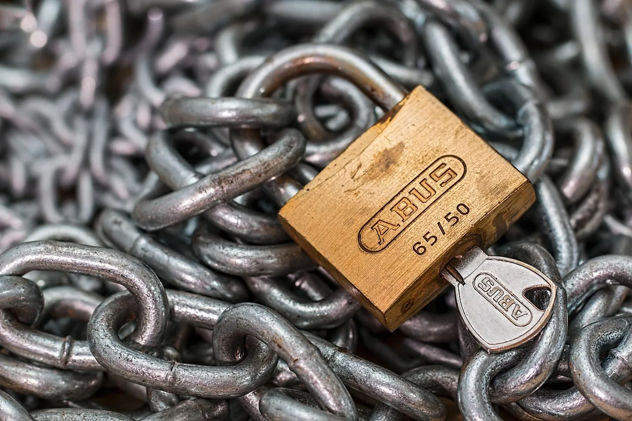padlock, lock, chain, key, security, protection, safety, access, locked, link, crime, steel, privacy, secure, criminal, shackle, danger, thief, theft, vulnerable, restrain, break-in, protect, strong, padlock, padlock, lock, lock, lock, lock, lock, chain, crime, privacy, privacy, thief, thief, theft, strong. What FinCEN's beneficial ownership search can and cannot show?