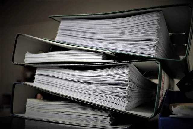 bureaucracy, file folder, paperwork, office, work, bureaucracy, paperwork, paperwork, paperwork, paperwork, paperwork. Why Wyoming and Nevada draw privacy-focused LLC filings